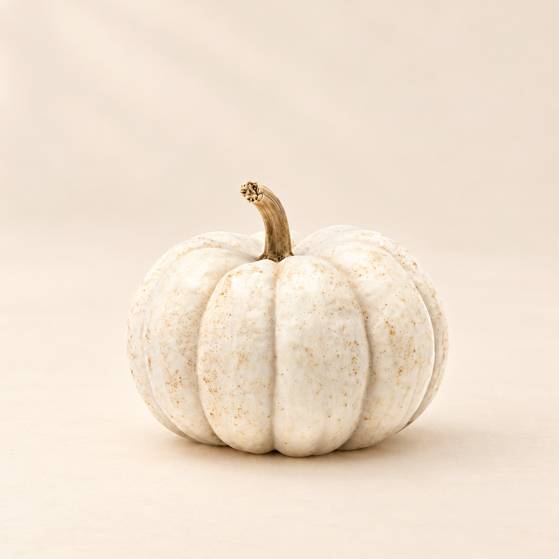 Mini White Pumpkin