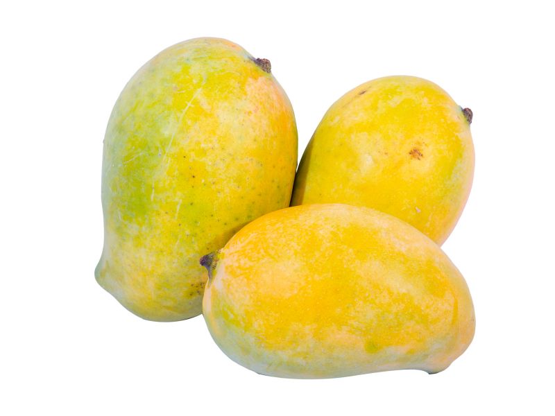 Mango Egypt