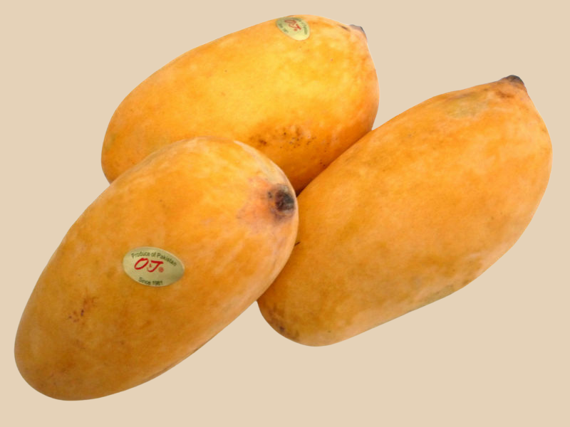 Mango Sindhri Pakistan