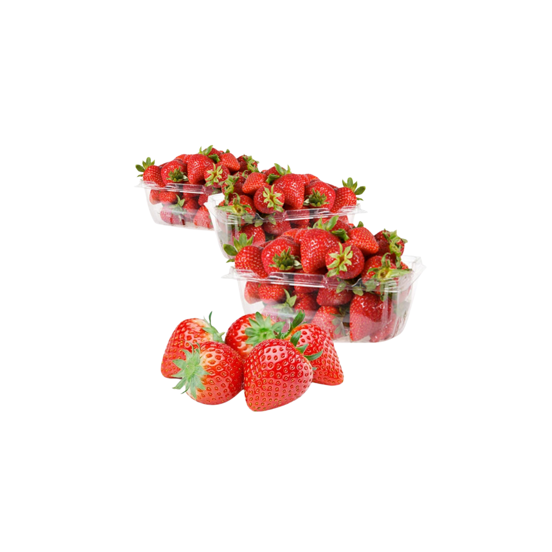 Strawberry-Egypt-500
