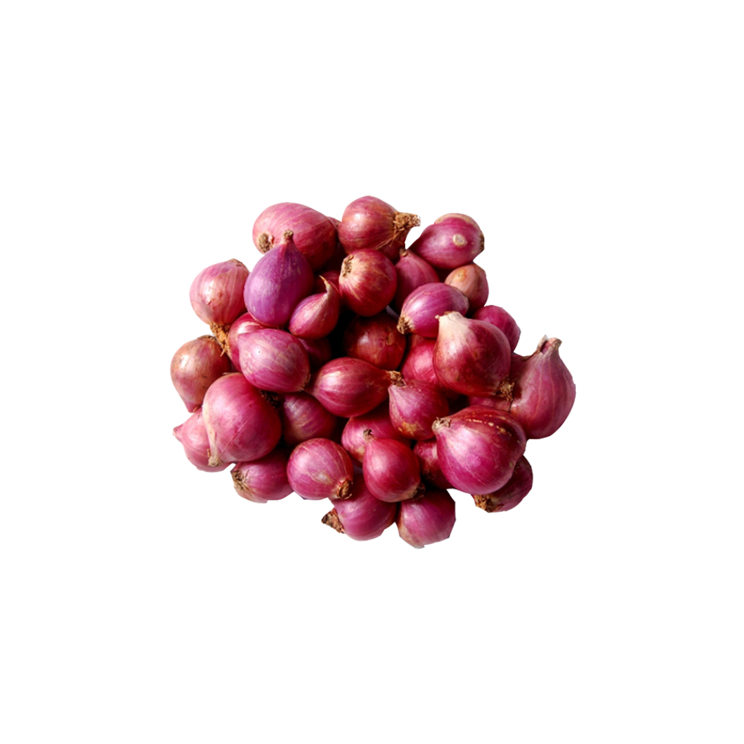 Shallot - India