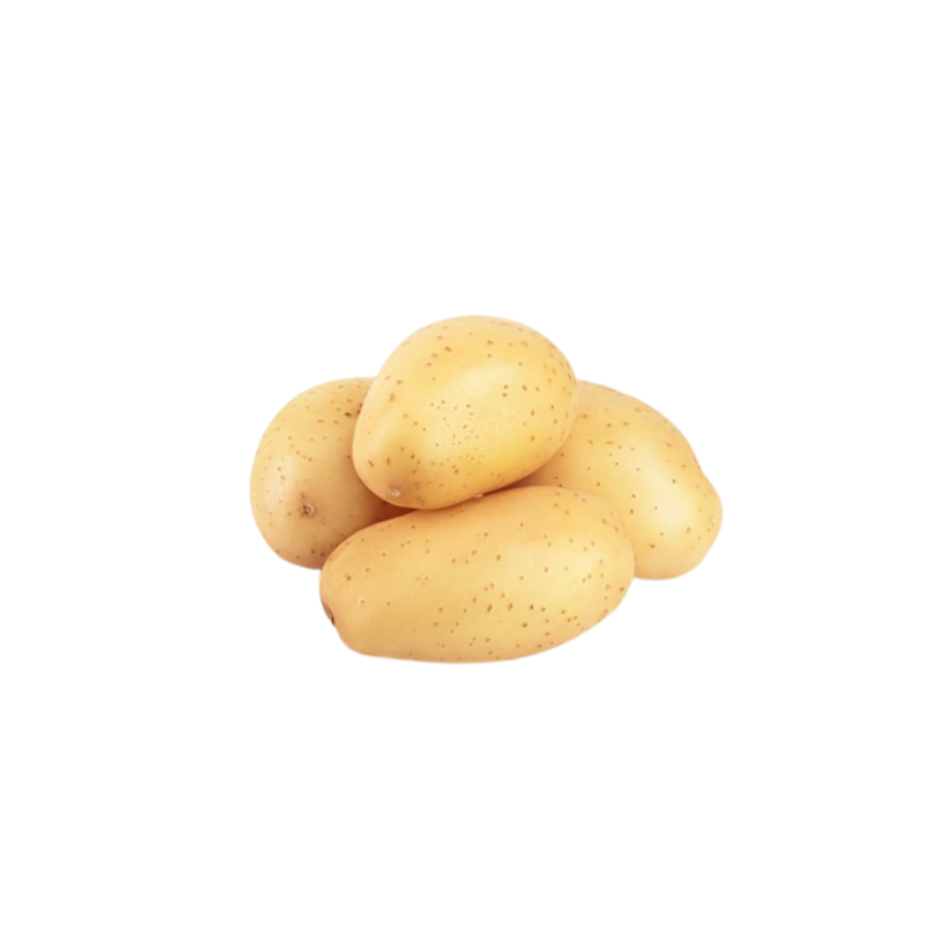 Potato - Egypt