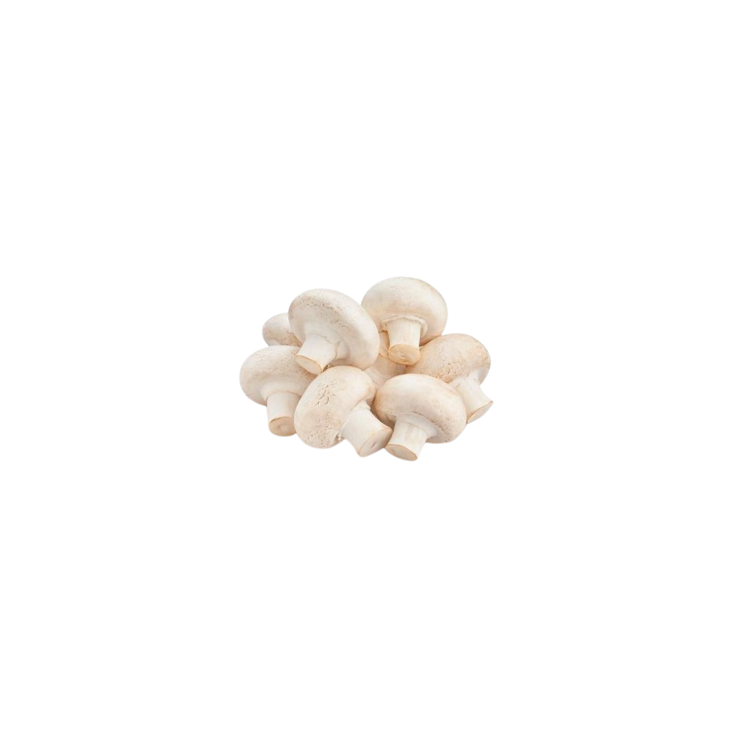White Mashroom - Oman - 250g