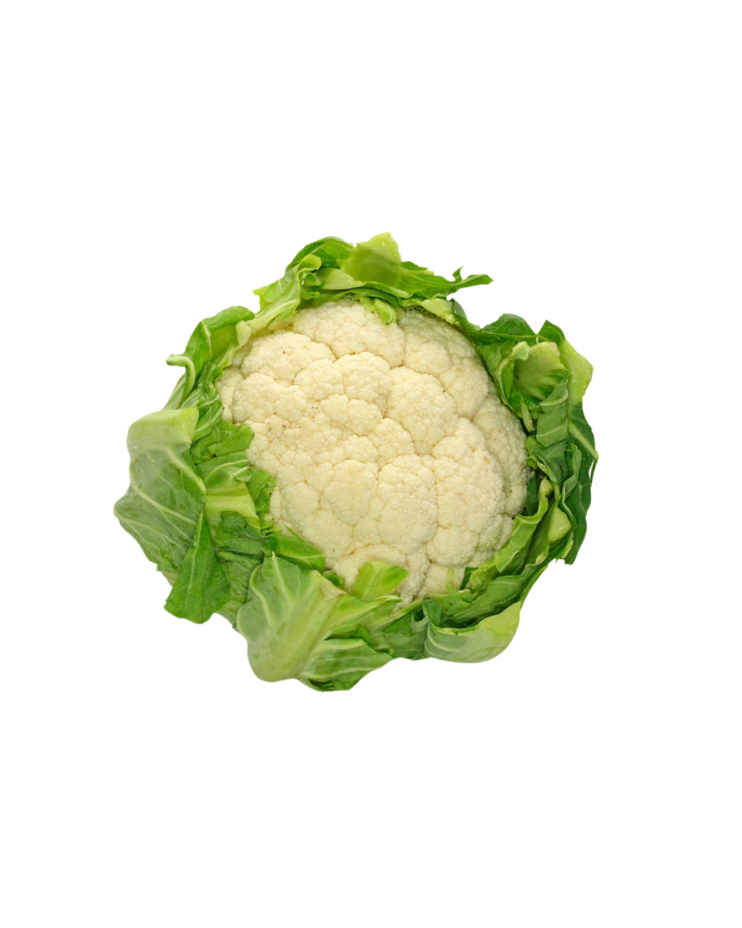 Cauliflower white France