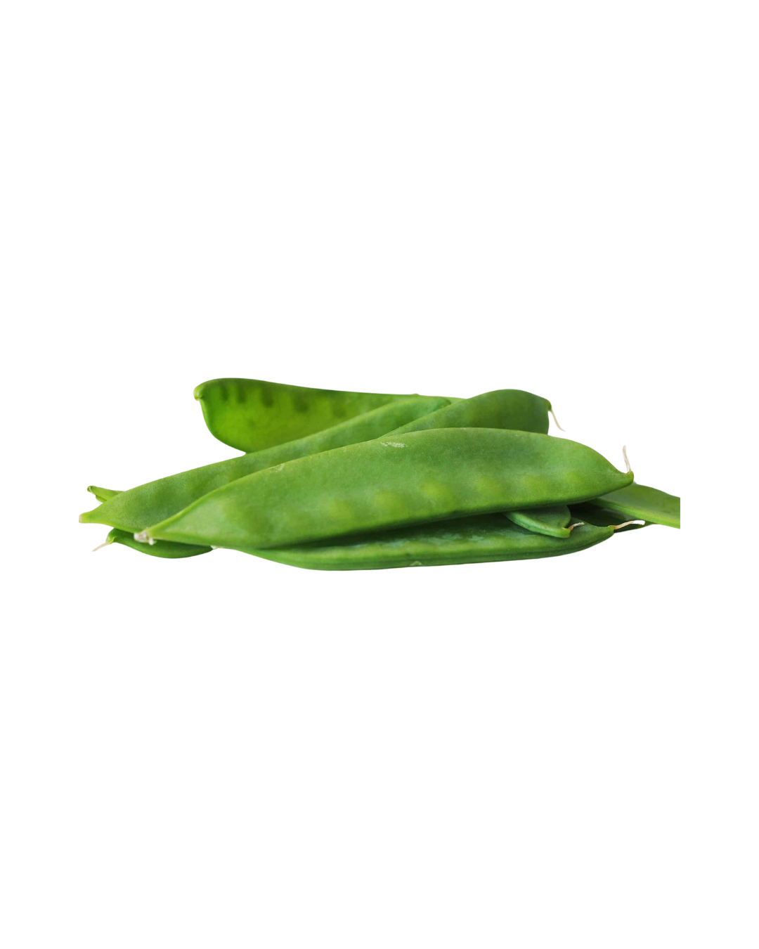 snow-pea_kenya