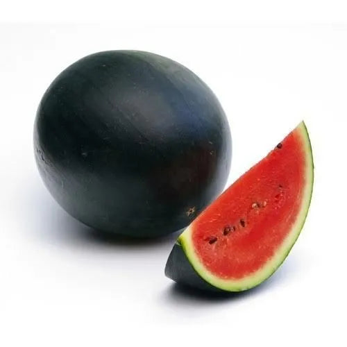 watermelon India