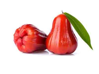 Rose Apple Pack .