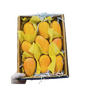 Mango Yeman Taimoor