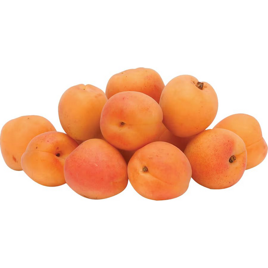 Apricot - New Zealand