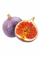 Fresh Fig