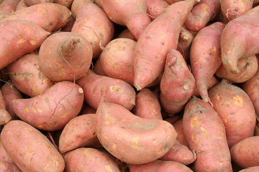Sweet Potato Medium