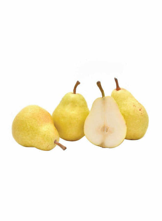 Golden Pear China