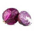 Cabbage Red Holland