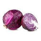 Cabbage Red Holland