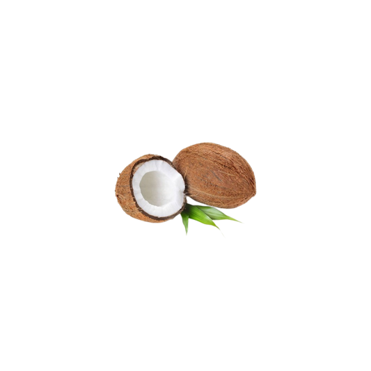 Coconut India