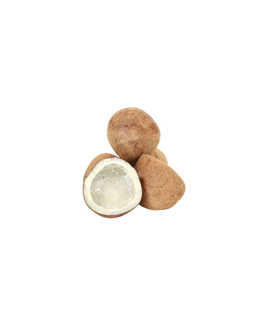 Dry Coconut