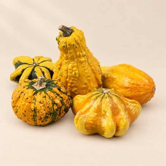 Ornamental Gourds