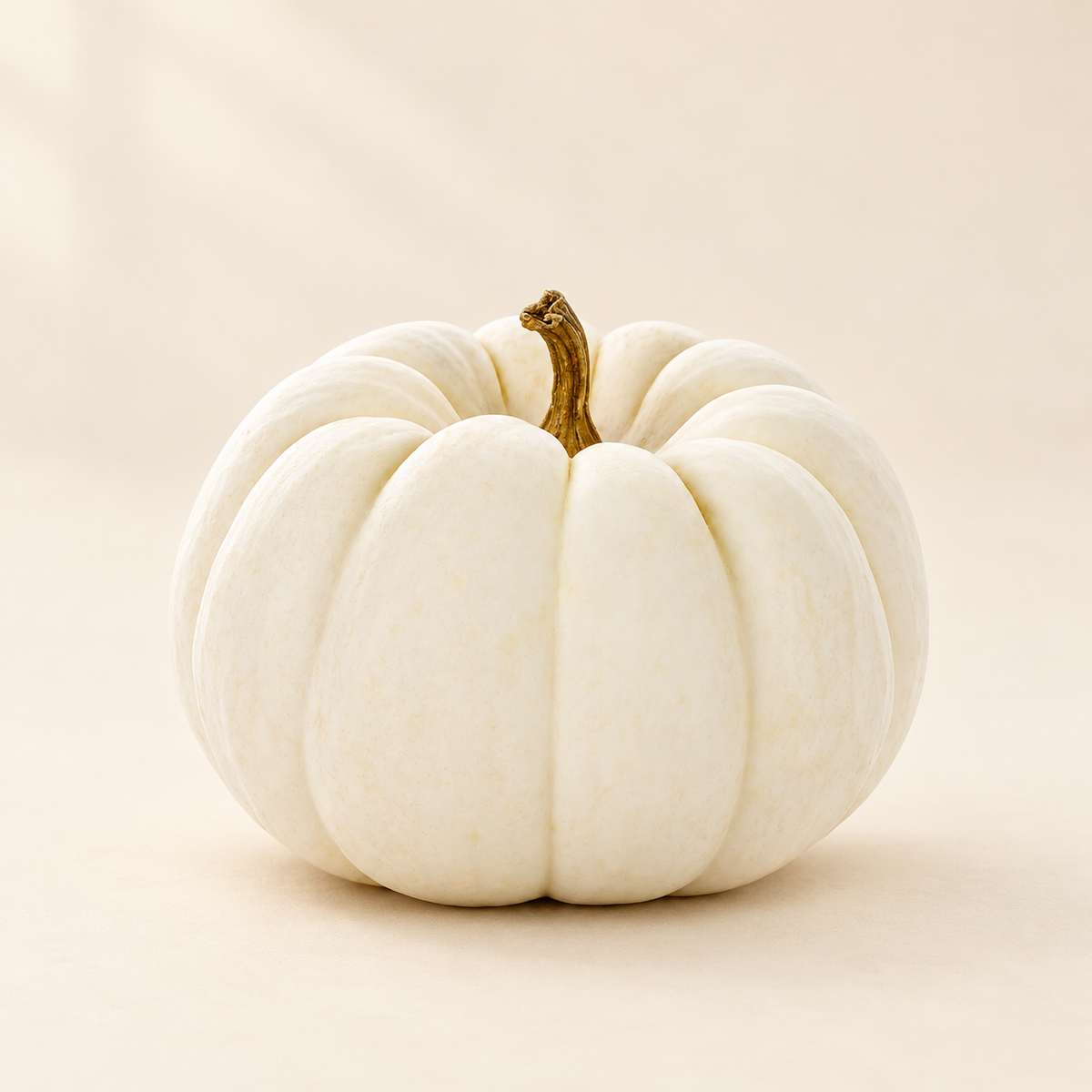 White Pie Pumpkin
