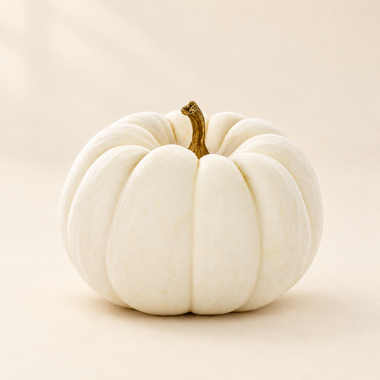 White Pie Pumpkin