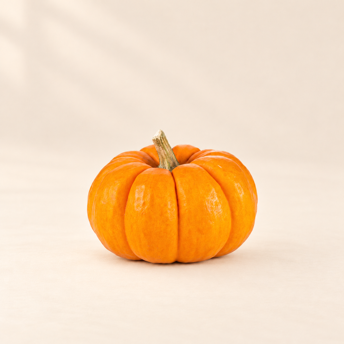 Mini Orange Pumpkin