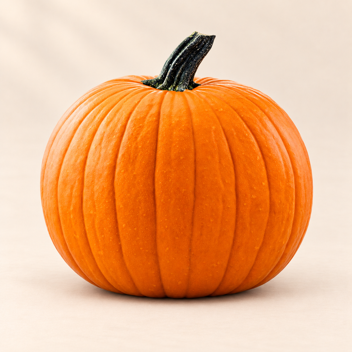 Medium Pumpkin