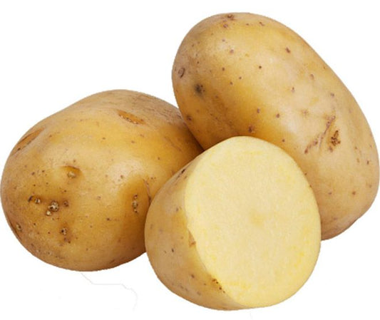 Potato - Lebanon