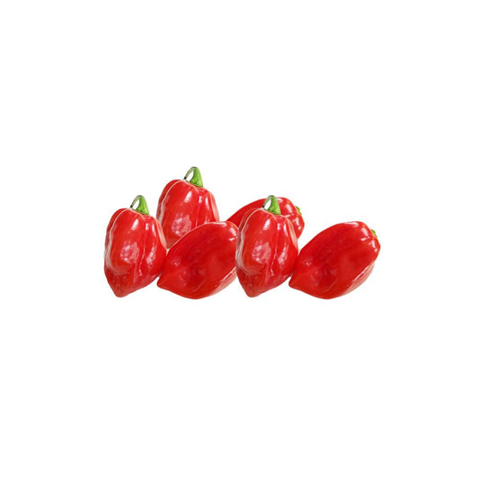 Red Habanero Holland