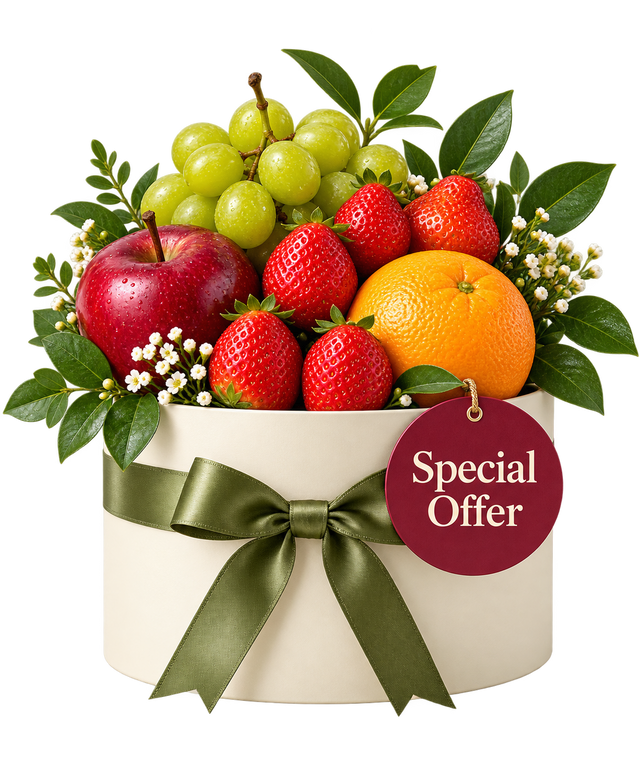 Special Offers