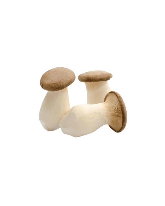 King oyster mushroom