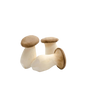 King oyster mushroom