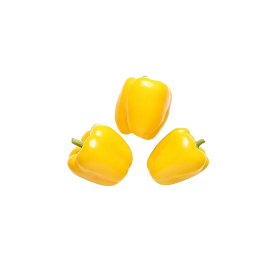Capsicum Yellow - UAE