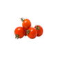 Tomato Cherry