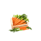 Carrot - Australia