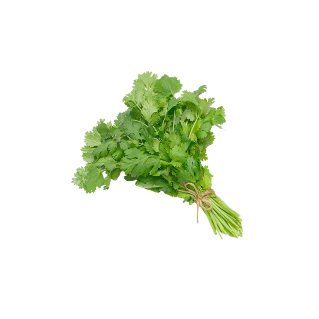 Coriander - UAE