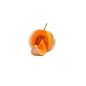 Pumpkin Red