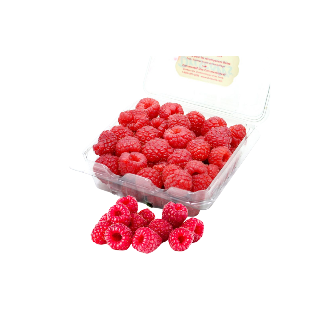 Driscoll's Raspberry - USA - 1 pack
