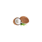 Coconut Dry