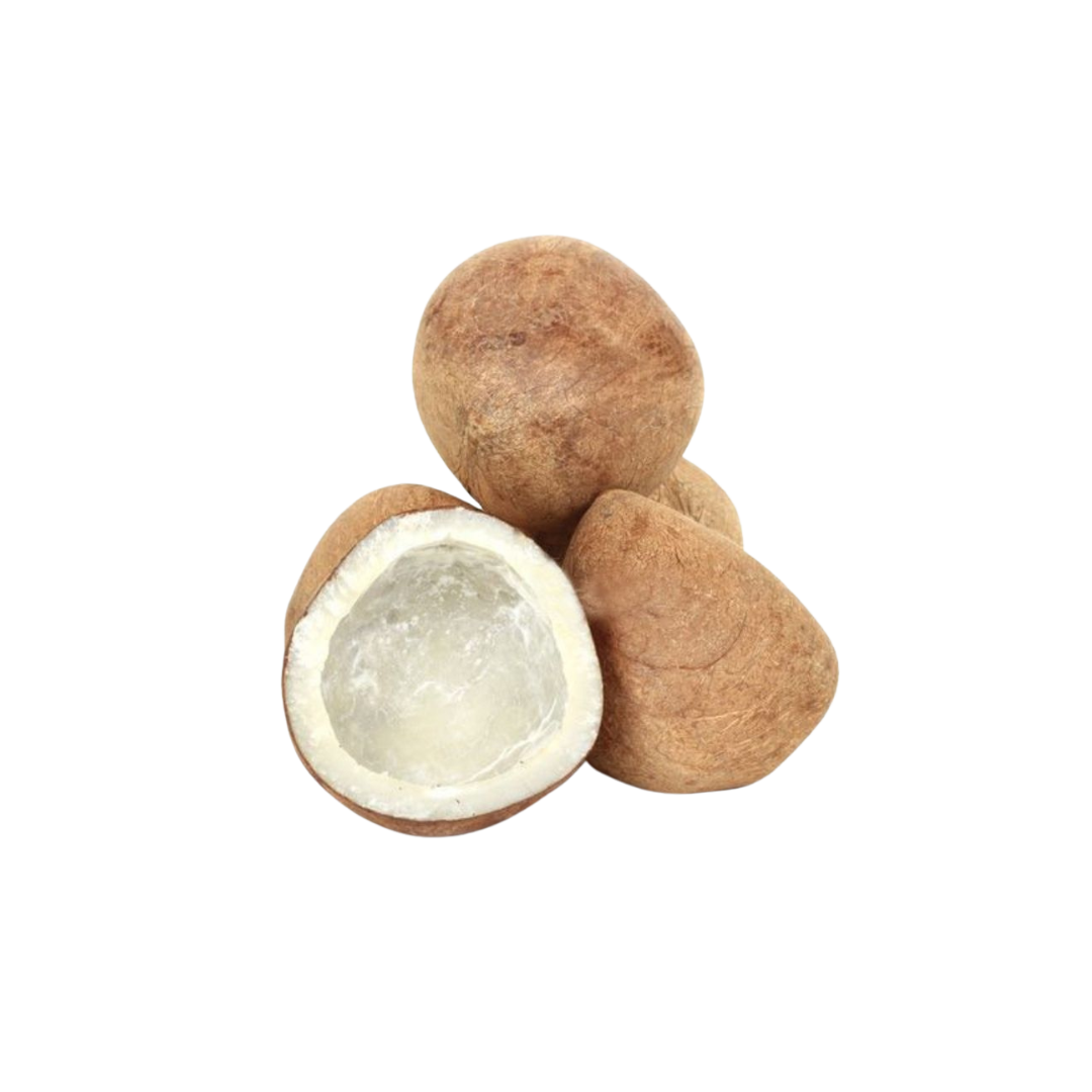 Dry Coconut - 1pcs