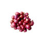 Shallot - India