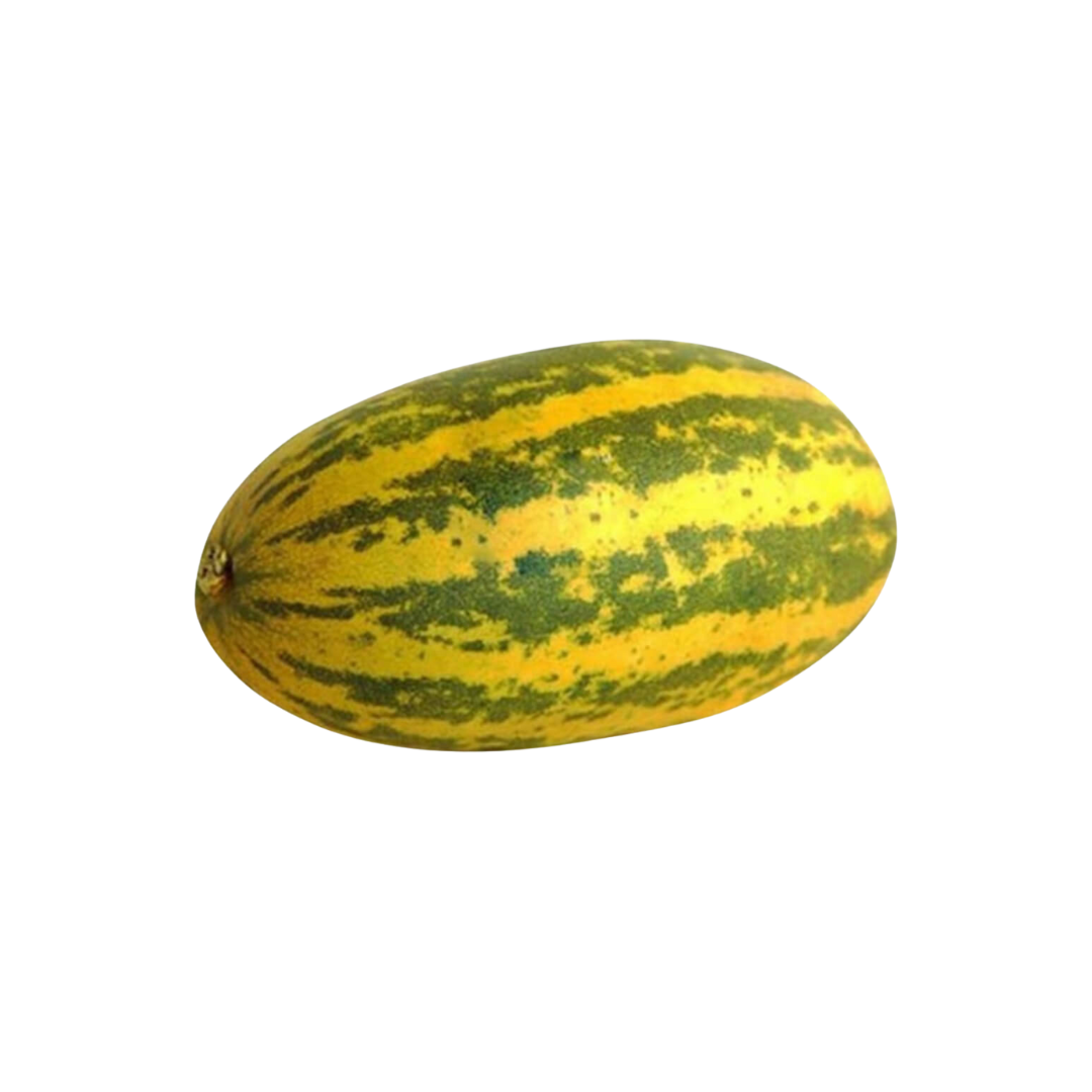 Vellari - India