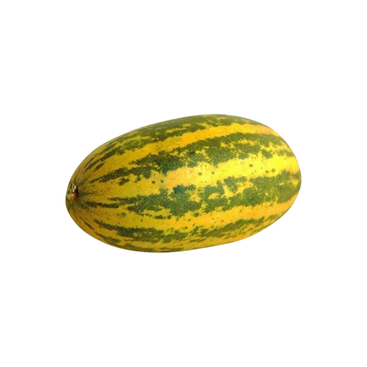 Vellari - India