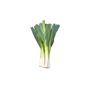Leeks UAE 250g