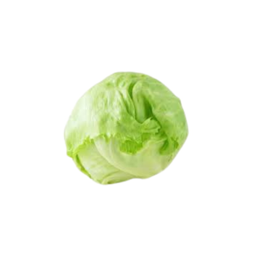 Lettuce Iceberg
