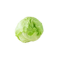 Lettuce Iceberg