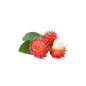 Rambutan