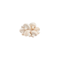 White Mashroom - Oman - 250g