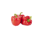 Capsicum Red - UAE