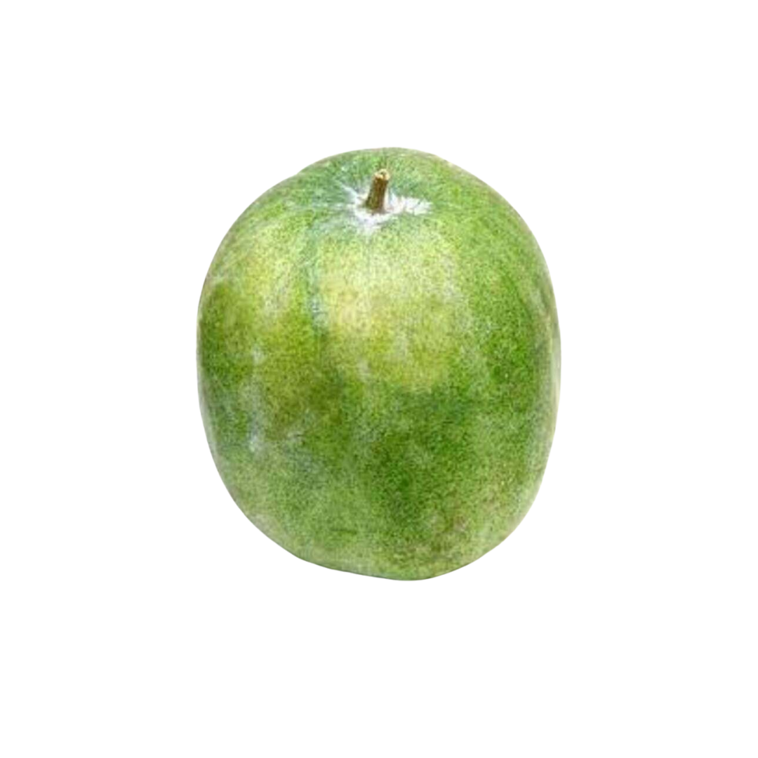 Ash Gourd
