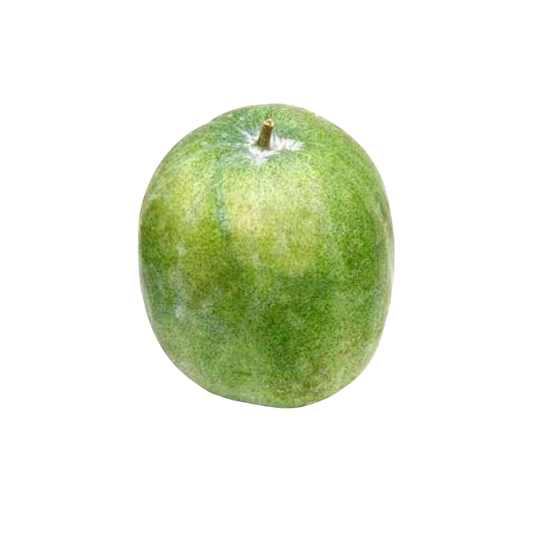 Ash Gourd