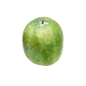 Ash Gourd